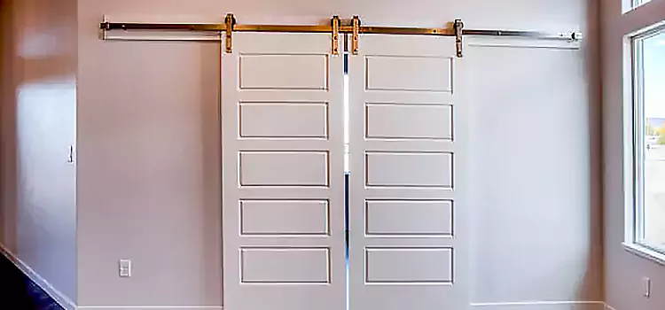 Glass Barn Door with Installation Hardware Kit Danbury